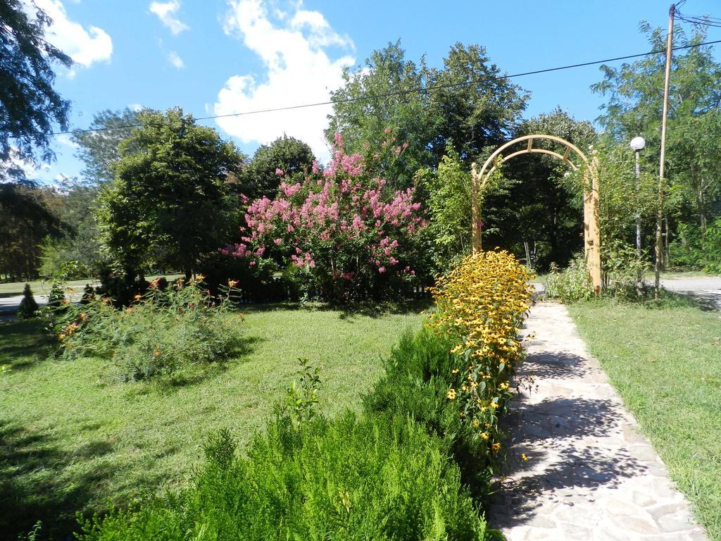 Vila Saltanat 41 Varna Cameră foto