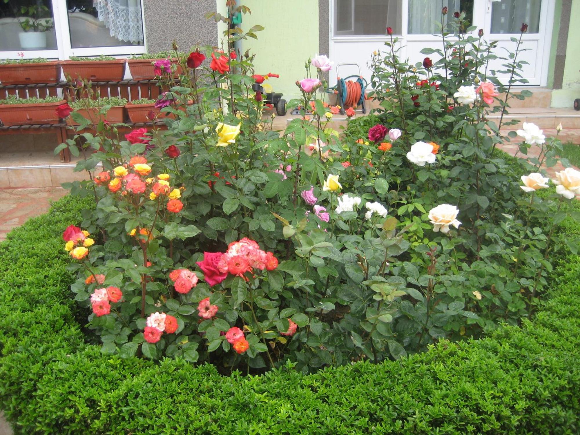 Vila Saltanat 41 Varna Cameră foto